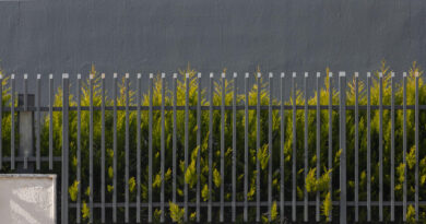 Kokie tvoros sprendimai reikalauja mažiausiai priežiūros ateityje?