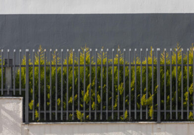 Kokie tvoros sprendimai reikalauja mažiausiai priežiūros ateityje?